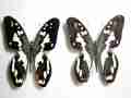 Papilio demoleus (Philippines) Artificial Aberration (Internet Image property of respective owner, non-commercial use only)
